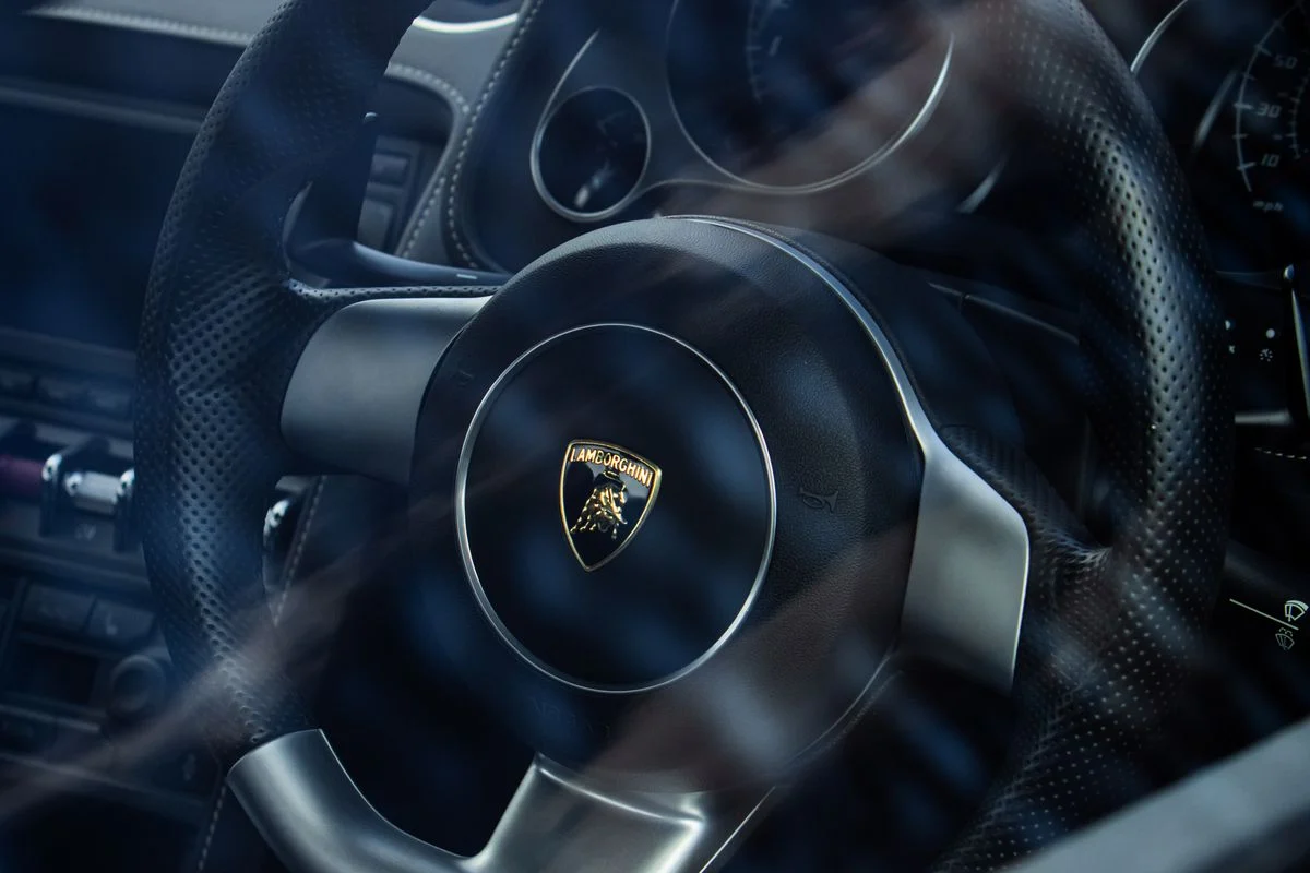 Porsche steering wheel seen through the window